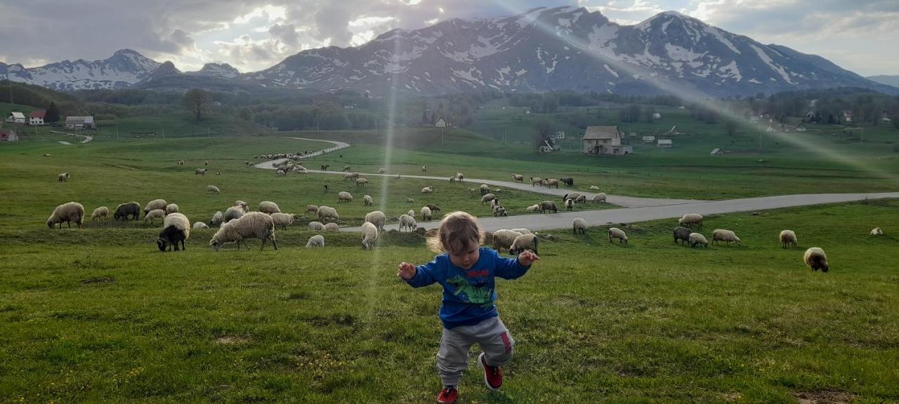 Hotel Organic Family Farm Žabljak Exteriér fotografie