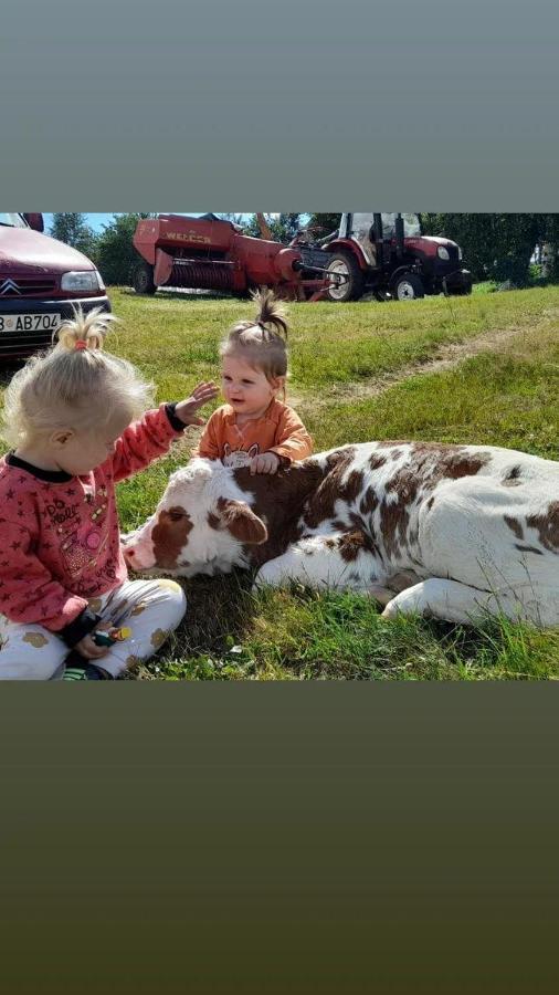 Hotel Organic Family Farm Žabljak Exteriér fotografie