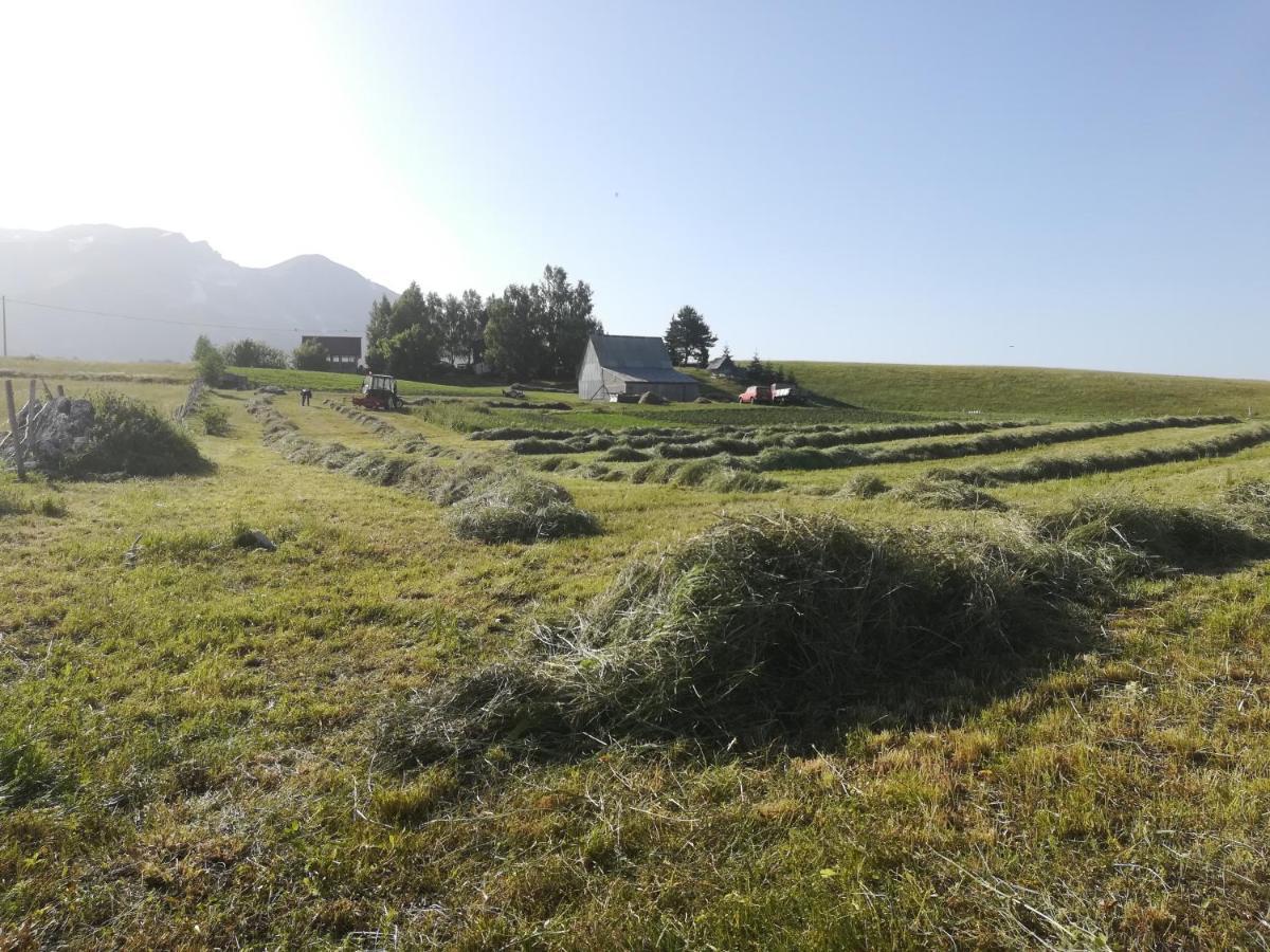 Hotel Organic Family Farm Žabljak Exteriér fotografie