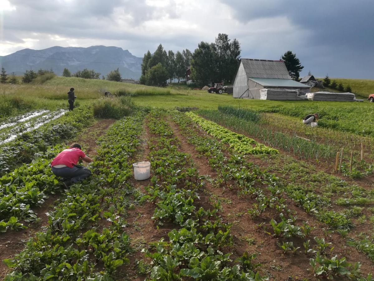 Hotel Organic Family Farm Žabljak Exteriér fotografie